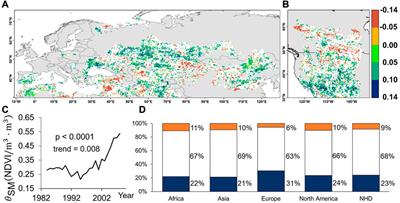 Increased response of vegetation to soil moisture in the northern hemisphere drylands